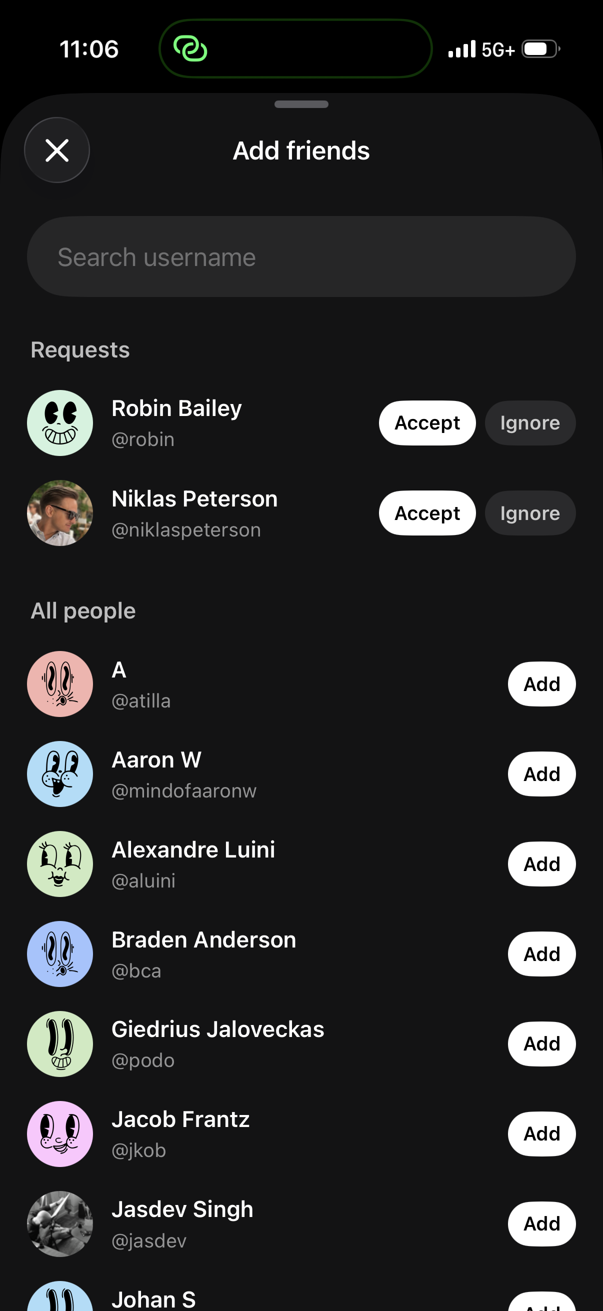 Loupe friend requests screen